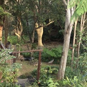 Meet your Posher, Debra